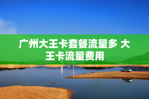 广州大王卡套餐流量多 大王卡流量费用