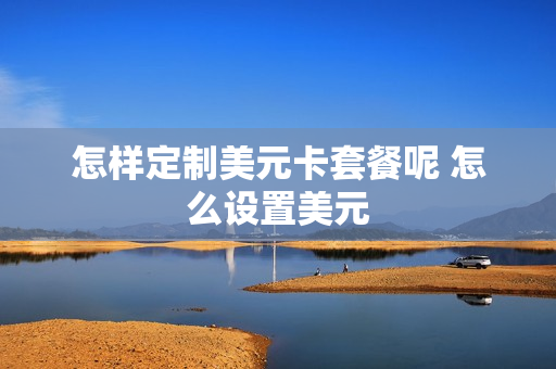怎样定制美元卡套餐呢 怎么设置美元