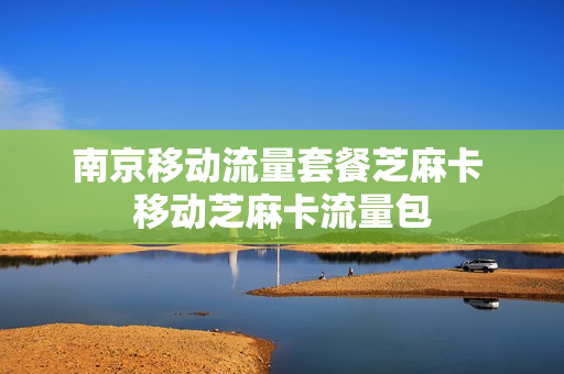 南京移动流量套餐芝麻卡 移动芝麻卡流量包