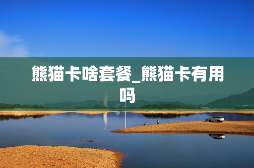 熊猫卡啥套餐_熊猫卡有用吗