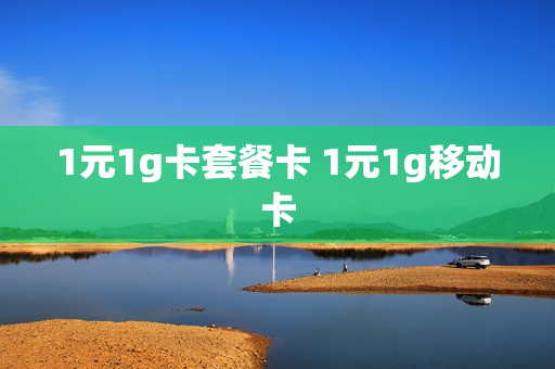 1元1g卡套餐卡 1元1g移动卡