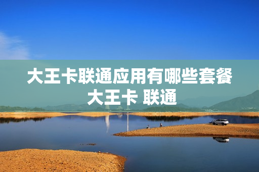 大王卡联通应用有哪些套餐 大王卡 联通