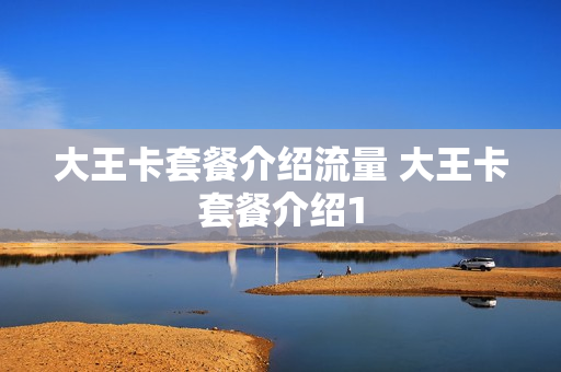 大王卡套餐介绍流量 大王卡套餐介绍1