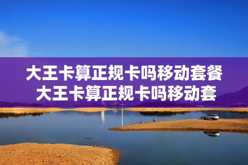 大王卡算正规卡吗移动套餐 大王卡算正规卡吗移动套餐