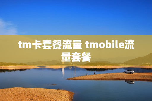 tm卡套餐流量 tmobile流量套餐