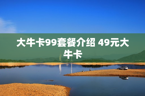 大牛卡99套餐介绍 49元大牛卡