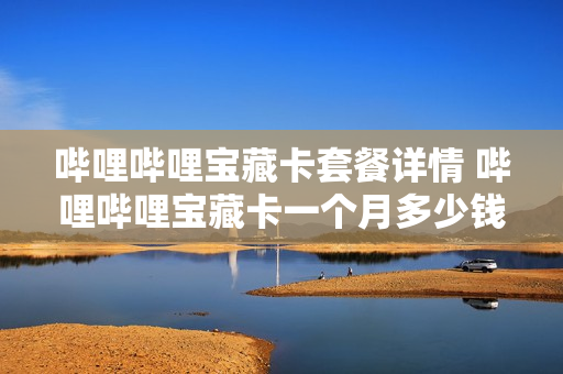 哔哩哔哩宝藏卡套餐详情 哔哩哔哩宝藏卡一个月多少钱