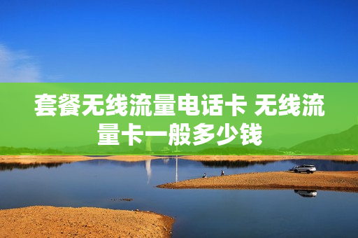 套餐无线流量电话卡 无线流量卡一般多少钱