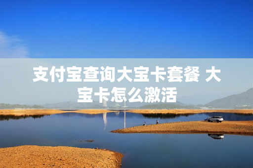 支付宝查询大宝卡套餐 大宝卡怎么激活