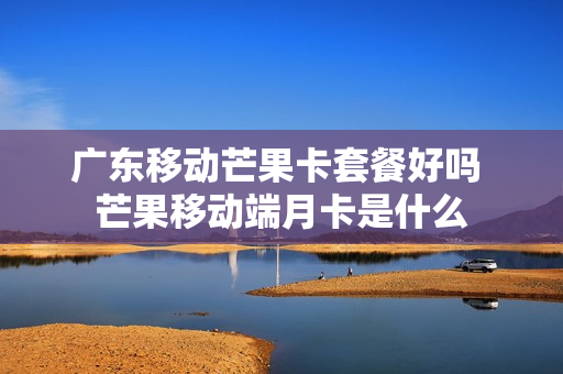 广东移动芒果卡套餐好吗 芒果移动端月卡是什么