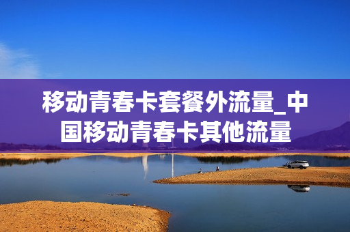 移动青春卡套餐外流量_中国移动青春卡其他流量