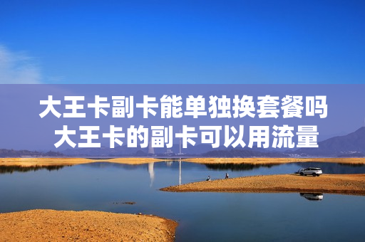 大王卡副卡能单独换套餐吗 大王卡的副卡可以用流量吗