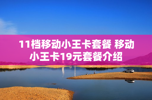 11档移动小王卡套餐 移动小王卡19元套餐介绍