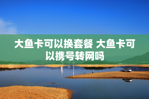 大鱼卡可以换套餐 大鱼卡可以携号转网吗