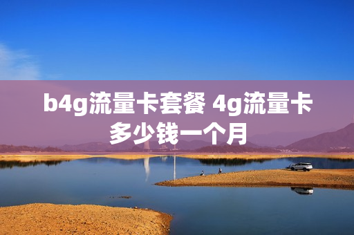 b4g流量卡套餐 4g流量卡多少钱一个月