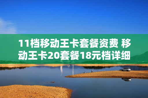 11档移动王卡套餐资费 移动王卡20套餐18元档详细