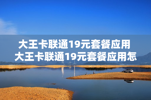 大王卡联通19元套餐应用 大王卡联通19元套餐应用怎么取消