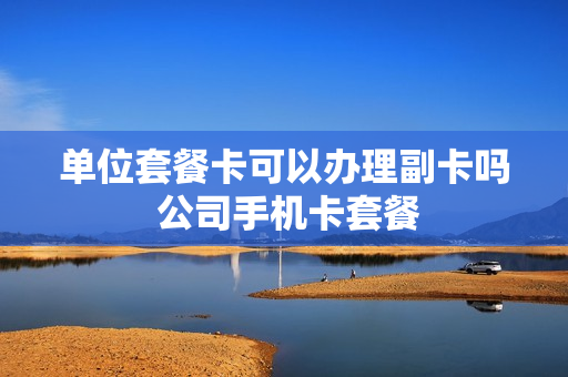单位套餐卡可以办理副卡吗 公司手机卡套餐