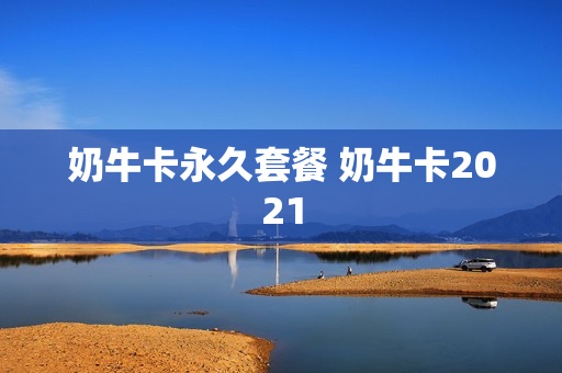 奶牛卡永久套餐 奶牛卡2021