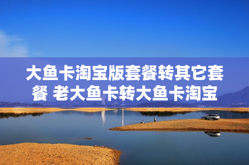 大鱼卡淘宝版套餐转其它套餐 老大鱼卡转大鱼卡淘宝版