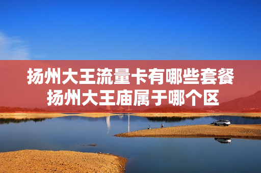 扬州大王流量卡有哪些套餐 扬州大王庙属于哪个区