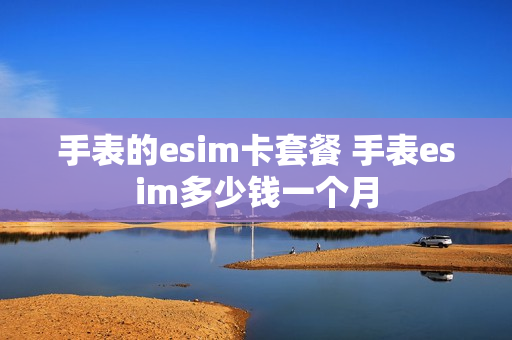 手表的esim卡套餐 手表esim多少钱一个月