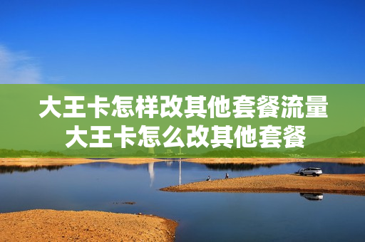 大王卡怎样改其他套餐流量 大王卡怎么改其他套餐