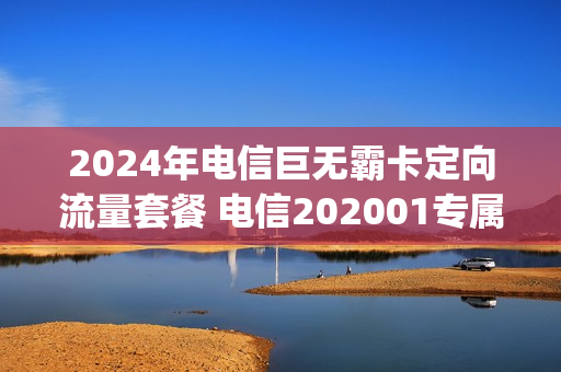 2024年电信巨无霸卡定向流量套餐 电信202001专属定向流量促销包200g