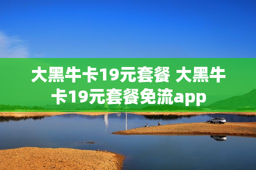 大黑牛卡19元套餐 大黑牛卡19元套餐免流app