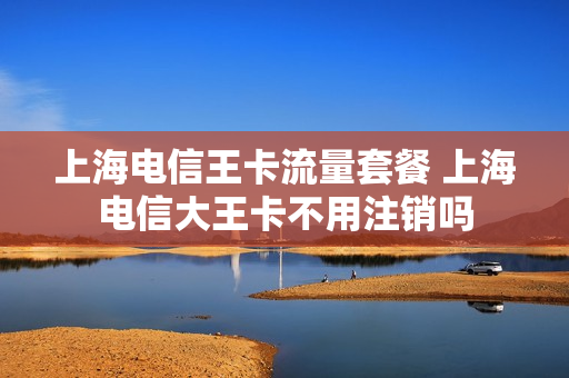 上海电信王卡流量套餐 上海电信大王卡不用注销吗