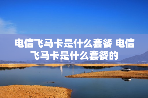 电信飞马卡是什么套餐 电信飞马卡是什么套餐的