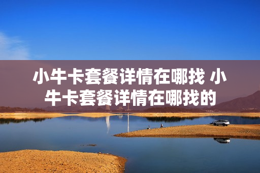 小牛卡套餐详情在哪找 小牛卡套餐详情在哪找的