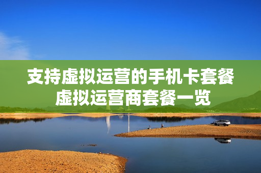 支持虚拟运营的手机卡套餐 虚拟运营商套餐一览