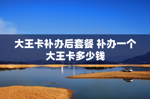 大王卡补办后套餐 补办一个大王卡多少钱