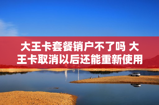大王卡套餐销户不了吗 大王卡取消以后还能重新使用吗