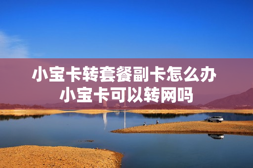 小宝卡转套餐副卡怎么办 小宝卡可以转网吗