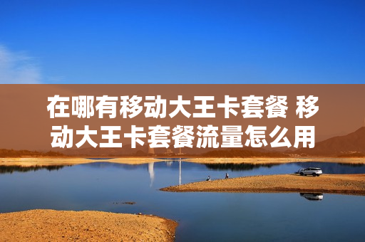 在哪有移动大王卡套餐 移动大王卡套餐流量怎么用