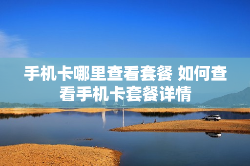 手机卡哪里查看套餐 如何查看手机卡套餐详情