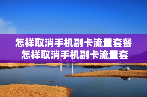 怎样取消手机副卡流量套餐 怎样取消手机副卡流量套餐包