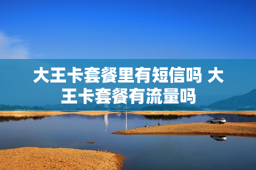 大王卡套餐里有短信吗 大王卡套餐有流量吗
