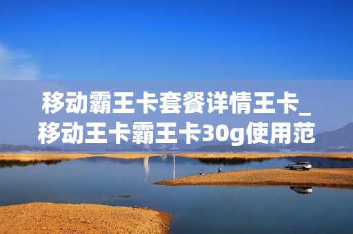 移动霸王卡套餐详情王卡_移动王卡霸王卡30g使用范围