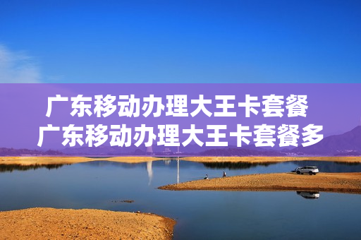 广东移动办理大王卡套餐 广东移动办理大王卡套餐多少钱