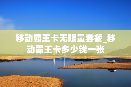 移动霸王卡无限量套餐_移动霸王卡多少钱一张