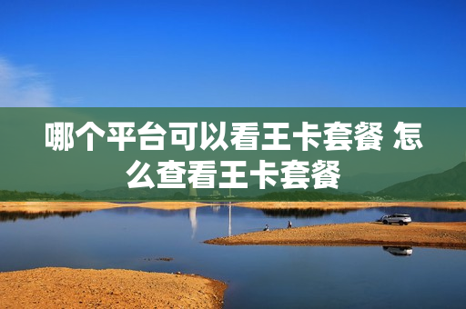 哪个平台可以看王卡套餐 怎么查看王卡套餐