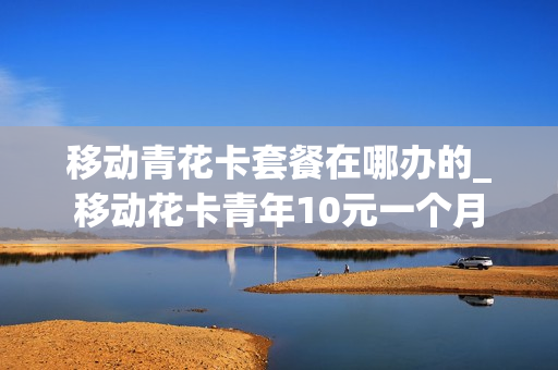 移动青花卡套餐在哪办的_移动花卡青年10元一个月