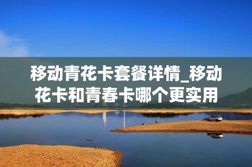 移动青花卡套餐详情_移动花卡和青春卡哪个更实用