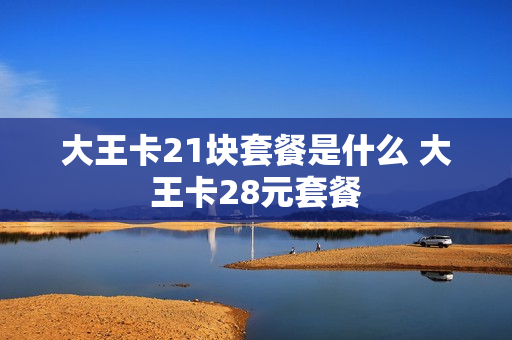 大王卡21块套餐是什么 大王卡28元套餐