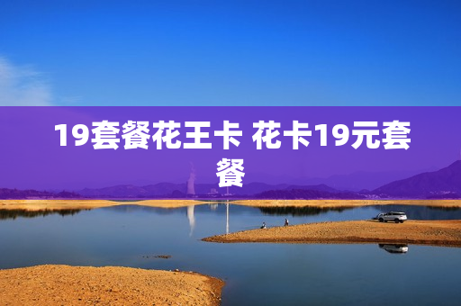 19套餐花王卡 花卡19元套餐