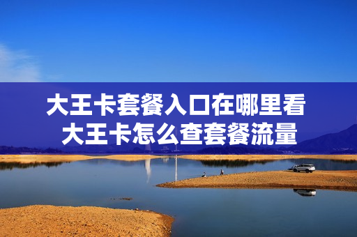 大王卡套餐入口在哪里看 大王卡怎么查套餐流量