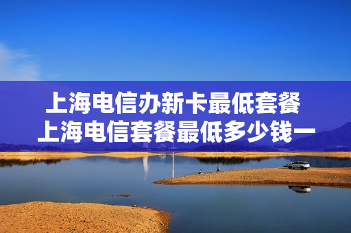 上海电信办新卡最低套餐 上海电信套餐最低多少钱一个月